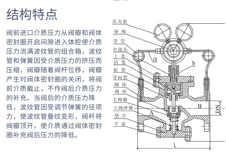 進(jìn)口可調(diào)式氣體減壓閥13.png