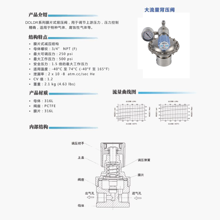 進(jìn)口高流量背壓閥1.jpg